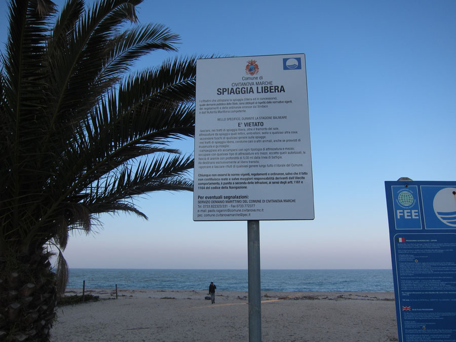 Cani In Spiaggia Scatta Il Divieto A Civitanova Picchio