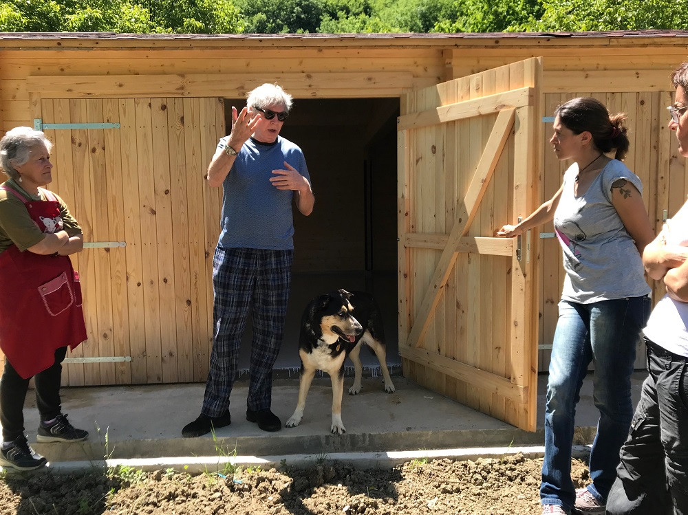 Una Casa Per Cani Anziani Lavori Al Via A Camerino Picchio News Il Giornale Tra La Gente Per La Gente