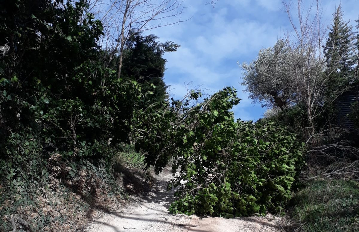 Castellammare - Vento forte in arrivo, la Protezione Civile dirama l'allerta meteo Castellammare - Vento forte in arrivo, la Protezione Civile dirama l'allerta meteo