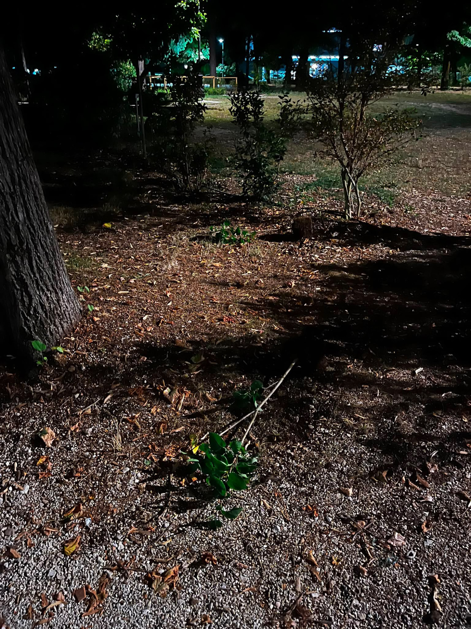 danneggiati-giardini-matelica-vandali-in-azione