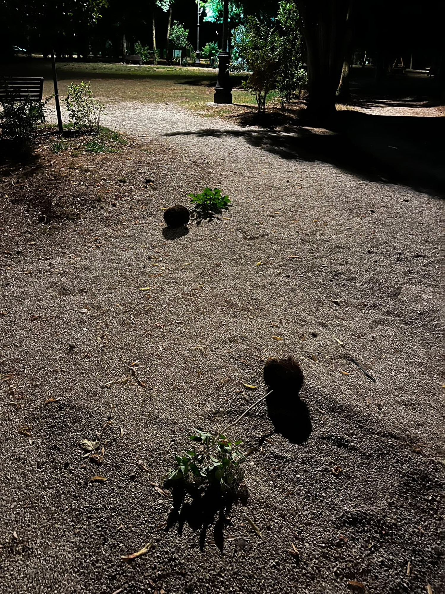 danneggiati-giardini-matelica-vandali-in-azione