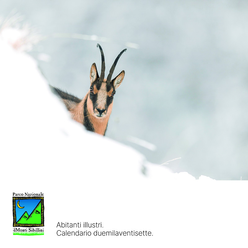 calendario-2027-parco-monti-sibillini