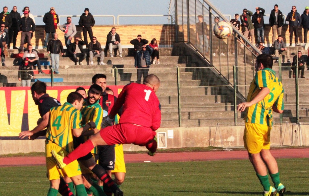PICCHIO (8)