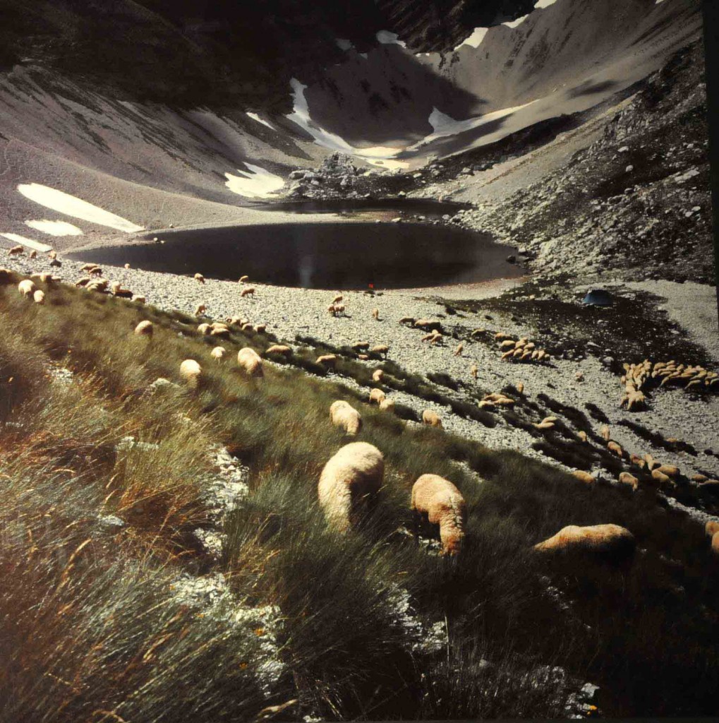 8) - foto di Sandro Polzinetti