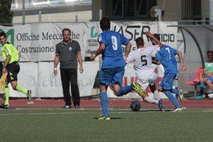 PICCHIO (4)