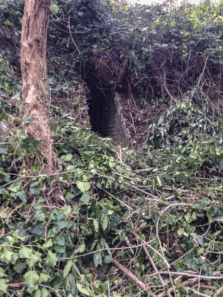foto_1