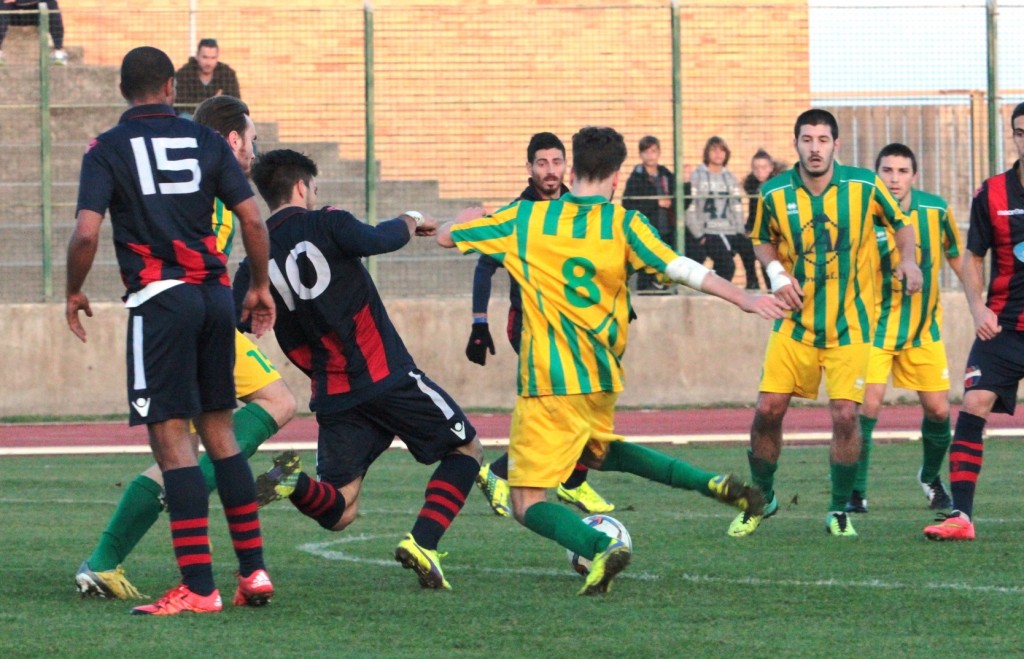 PICCHIO (21)
