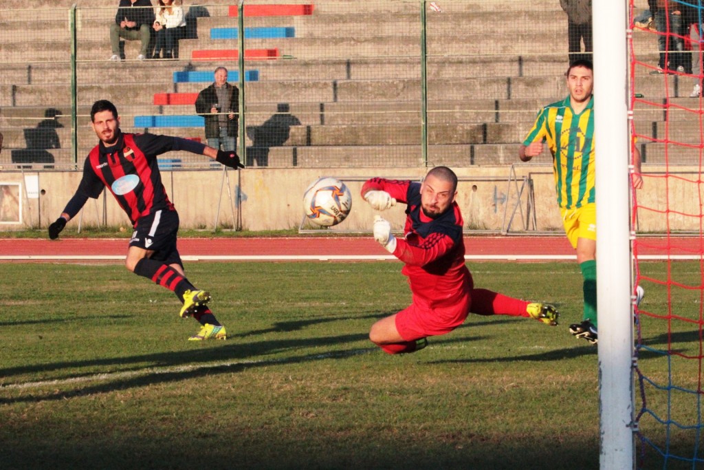 PICCHIO (13)