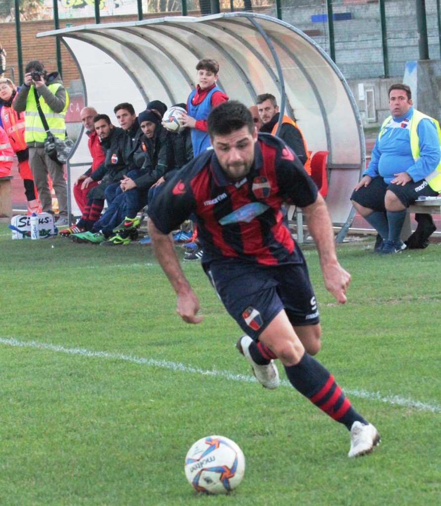 PICCHIO (37)
