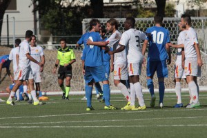 PICCHIO (6)