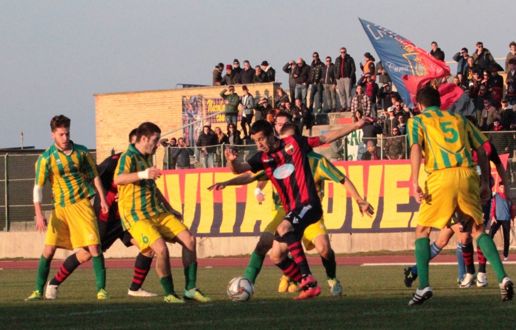 PICCHIO (16)