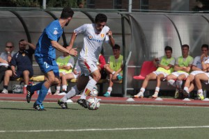 PICCHIO (3)