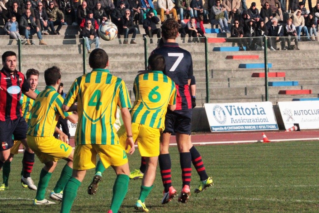 PICCHIO (39)