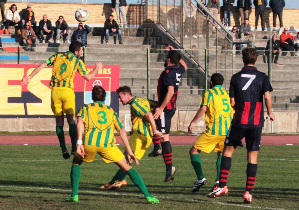 PICCHIO (36)
