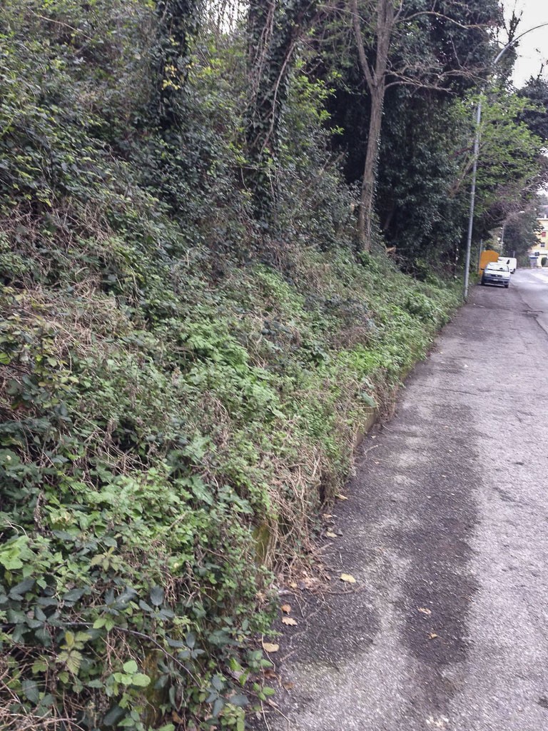 foto_3