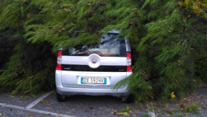maltempo san severino1