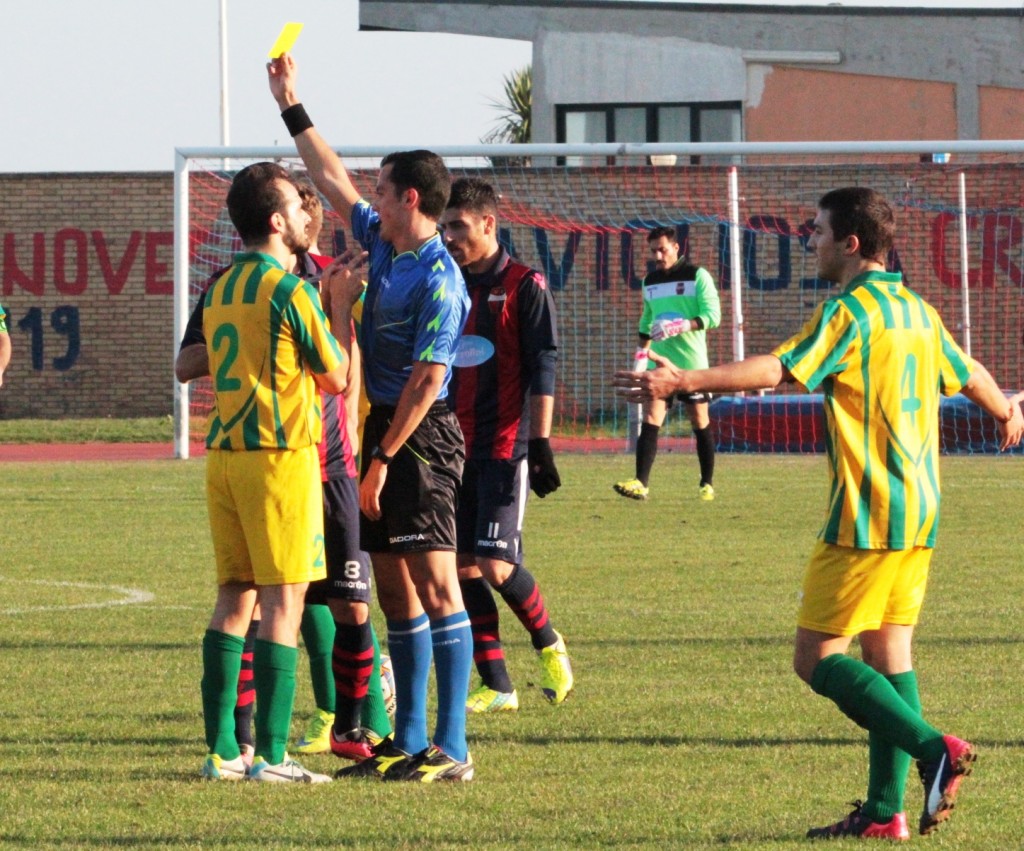 PICCHIO (3)