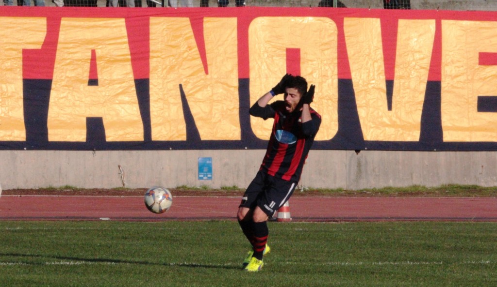 PICCHIO (30)