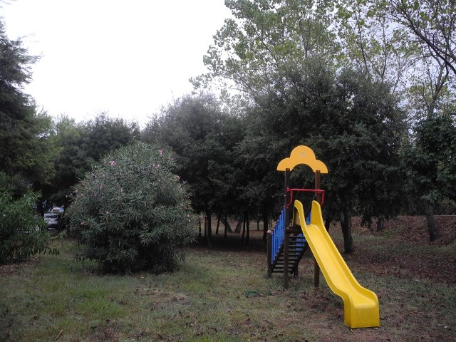 Il parco prima della potatura