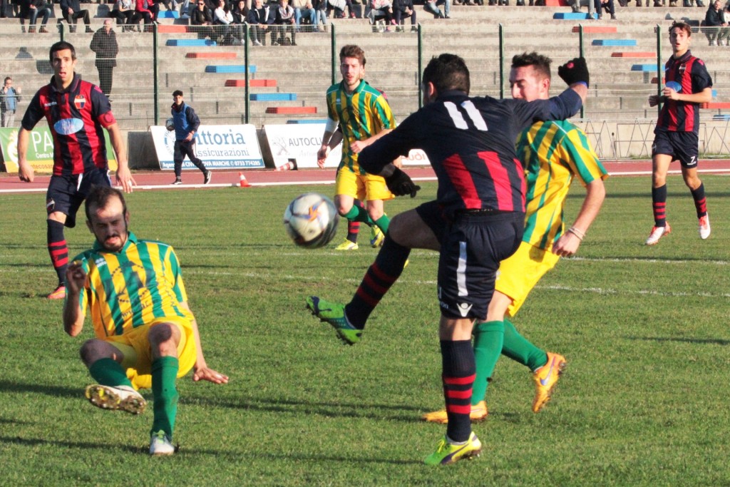 PICCHIO (5)