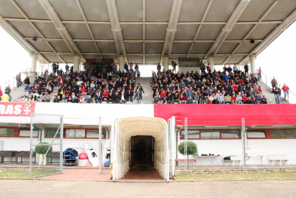 TRIBUNA