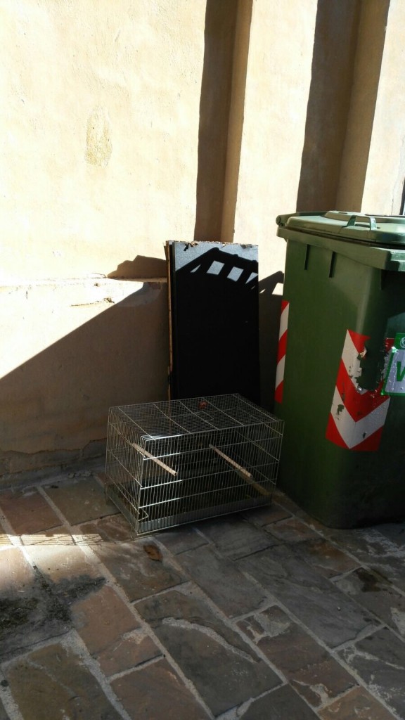 abbandoni rifiuti via ciappi