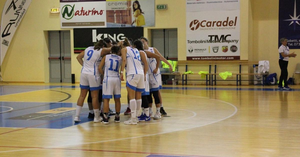 La Feba Civitanova Marche esce sconfitta da Ariano Irpino - Picchio News