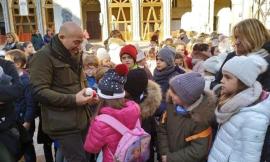Si accende il Natale a Camerino: addobbato "l'albero della comunità"