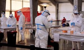 Covid-19, il 17 gennaio lo screening di massa arriva anche a Cingoli: prenotazioni al via