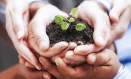 “Sosteniamo il Biologico”, a Recanati il convegno sull'imprenditoria agricola e agroalimentare bio