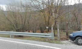 Incidente sul lavoro, gli cade addosso una pianta: portato in eliambulanza a Torrette