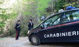 Veterinario ucciso a coltellate, pm chiede 18 anni per Valerio Andreucci