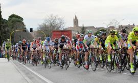 Domenica a Montecassiano il Gran Premio San Giuseppe, la corsa ciclistica per semiprofessionisti più importante d'Italia