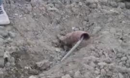 Muccia, prova a fare l'orto davanti alla Sae ma rischia di rimanere folgorato - VIDEO