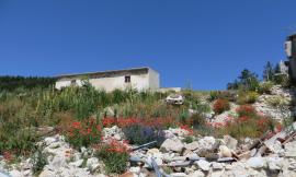 "Dalle macerie nascono i fior": in mountain bike alla scoperta di Castelluccio - FOTO