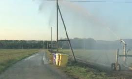 Montelupone, irrigatore "molesto": protestano i cittadini