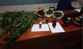 San Ginesio, coltivava marijuana nell’orto: denunciato artista di strada