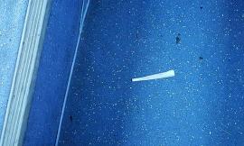 Droga sull'autobus, l'autista diventa detective: "Cari genitori, educate i vostri figli!"