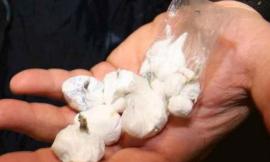 Spaccio di droga, maxi operazione in corso: 27 nella rete