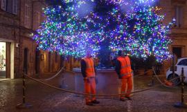 Montefano, dopo tre settimane di lavoro il grande albero di Natale sta per accendere le luci