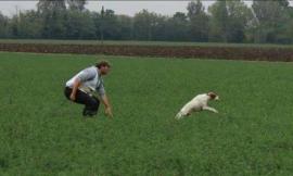 Pievebovigliana, il dresseur Mirko Caramanti in Francia ai campionati europei di caccia per cani razza pointer