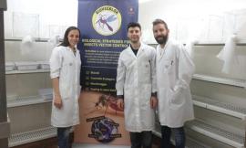 Insetticida rivoluzionario, al rush finale la campagna per i giovani ricercatori di Biovecblok