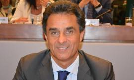 Moreno Pieroni sugli incidenti causati dai cinghiali: "Situazione al limite del paradosso"