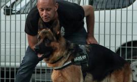 A Treia i cani da ricerca con l'istruttore internazionale Ivan Schmidt (FOTO)