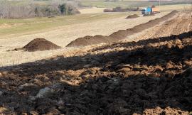 Chiesanuova di Treia, continua il via vai di camion carichi di concime: "Popolazione impotente"