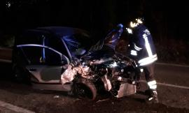 Urbisaglia, finisce con l'auto contro un albero: giovane trasportato a Torrette