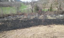 Pieve Torina, agricoltore innesca incendio dopo la ripulitura del frutteto: in fiamme un ettaro di bosco