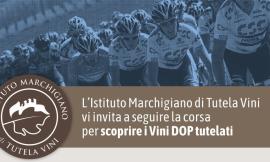 Ciclismo, la Tirreno Adriatico 2019 omaggia la DOC marchigiana: wine stage dedicata al Verdicchio