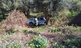 Treia, perde il controllo dell'auto in retromarcia e finisce nel campo di ulivi