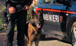 Vendevano droga ai giovani della provincia maceratese: 6 persone denunciate e numerosi sequestri